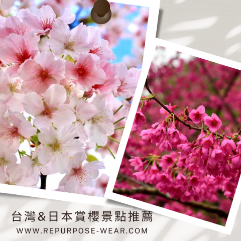 台灣&日本賞櫻景點推薦